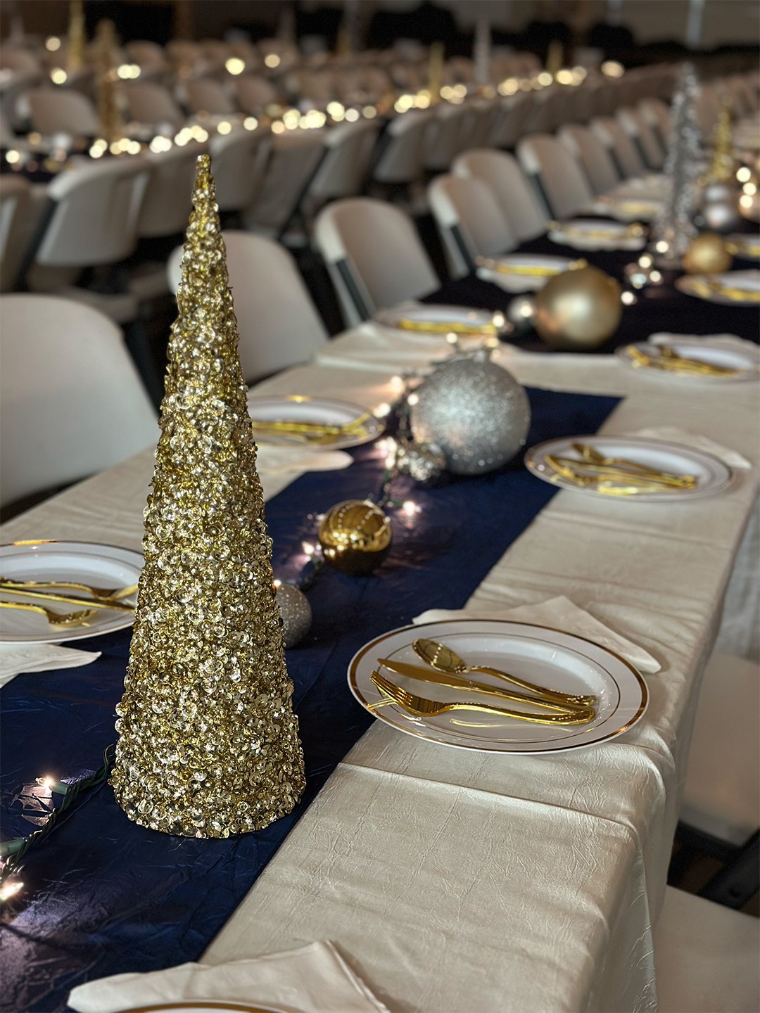 Queen Events Wedding Decor Tables and Chairs_0006_IMG_5271